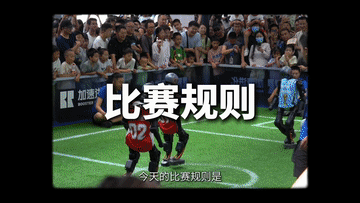 pry, 世界机器人