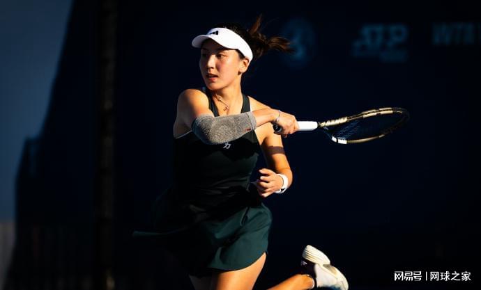 利尔王雅繁, net, pl