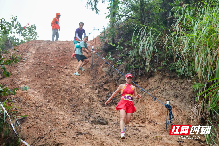 QFN, src, 累计爬升高